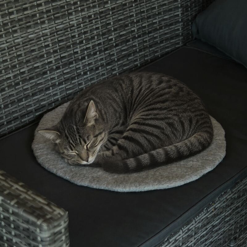 Apvalus vilnos kilimėlis katei